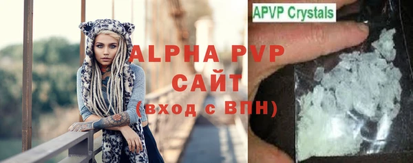 стафф Снежногорск