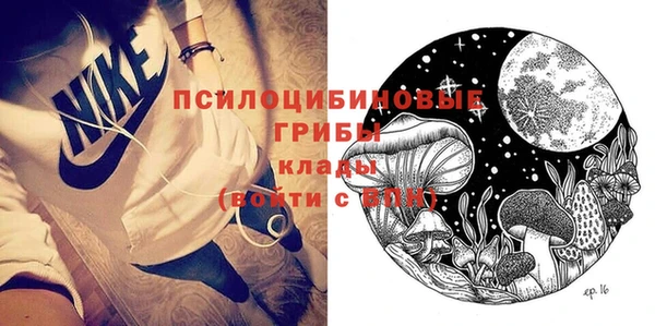 кокс Баксан