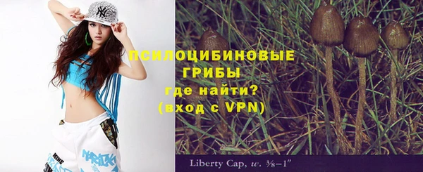 кокс Баксан